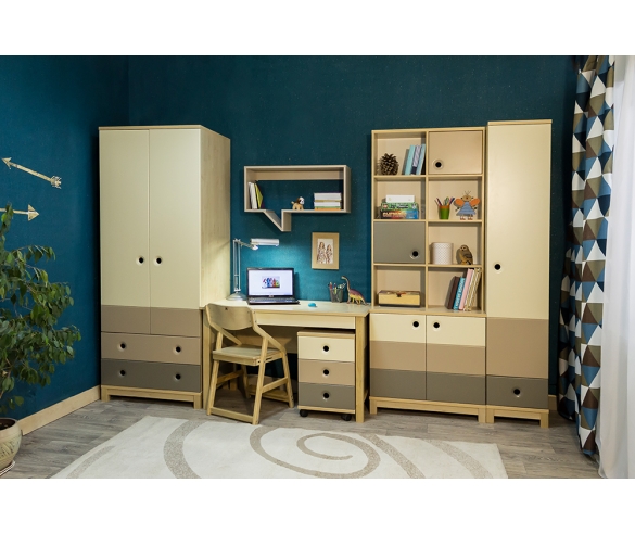 Композиция со стеллажом