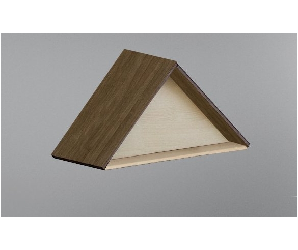 Аннтресоль Фанки Кидс